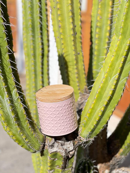 Bamboo Pots (Canisters)